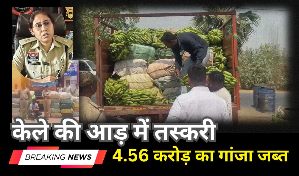 copy of वकील के घर चोरी (1)