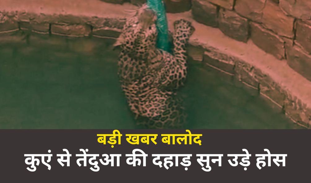 थम्मेल (10)
