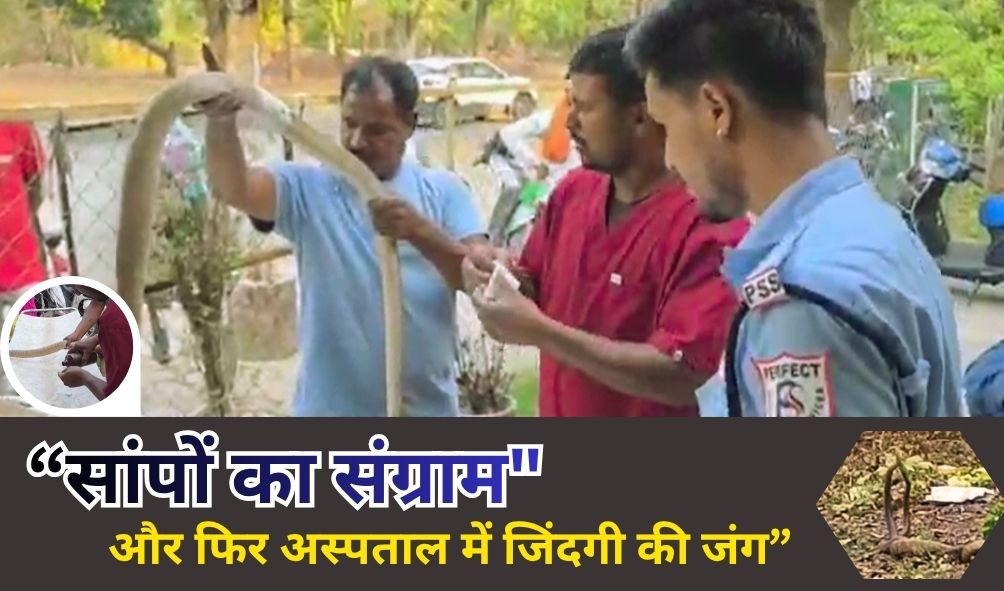 थम्मेल (3)