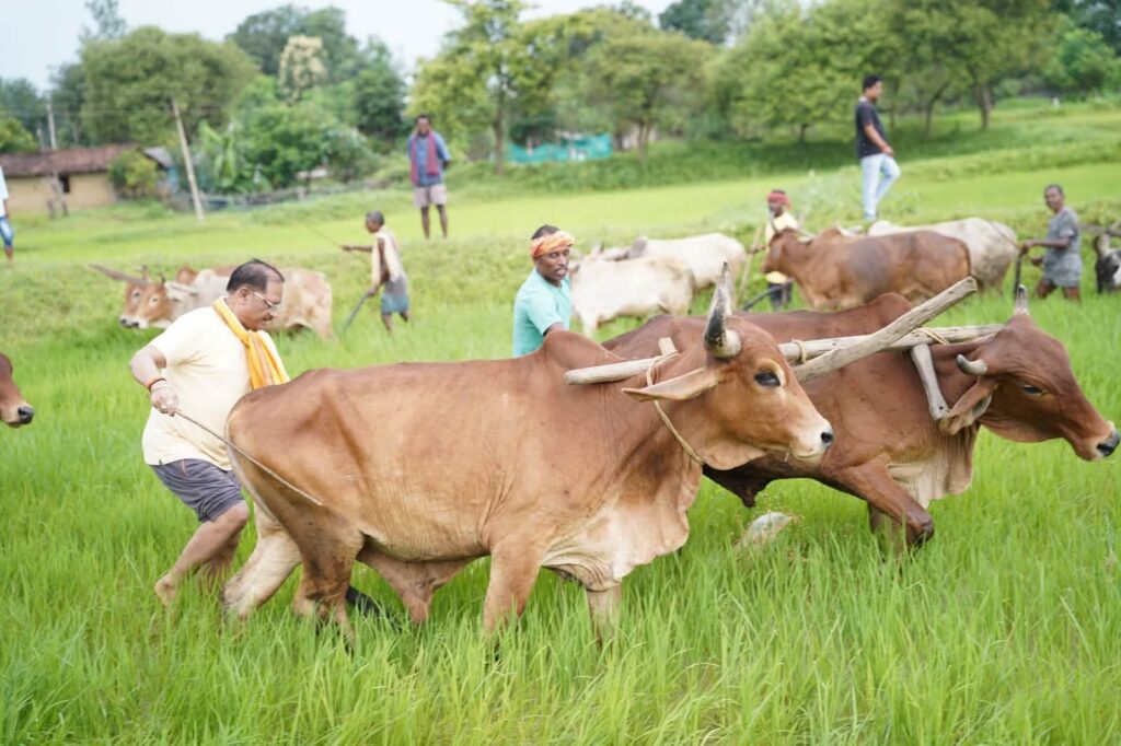 मुख्यमंत्री बने किसान! सत्ता की कुर्सी छोड़ थामा हल whatsapp image 2026 08 17 at 2.52.51 pm (1)